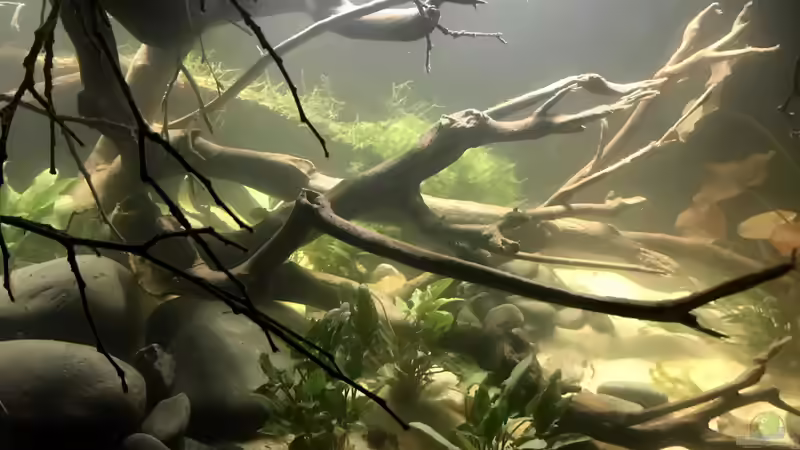 Frisch bepflanzt II von NaMo (18)