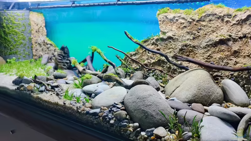 Frisch bepflanzt von bergfrau (2)