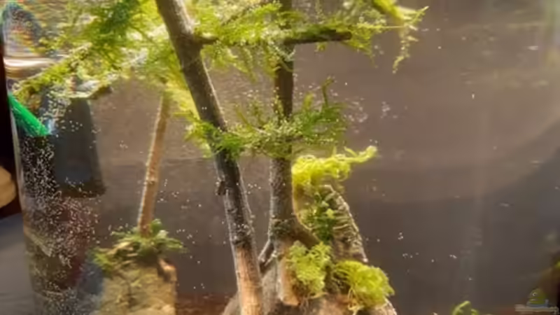 Frisch bepflanzt von Katja H (3)