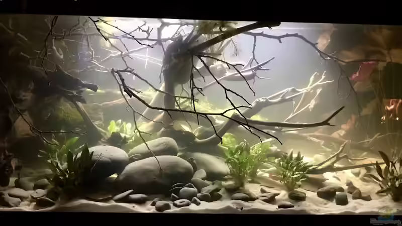 Frisch bepflanzt von NaMo (16)