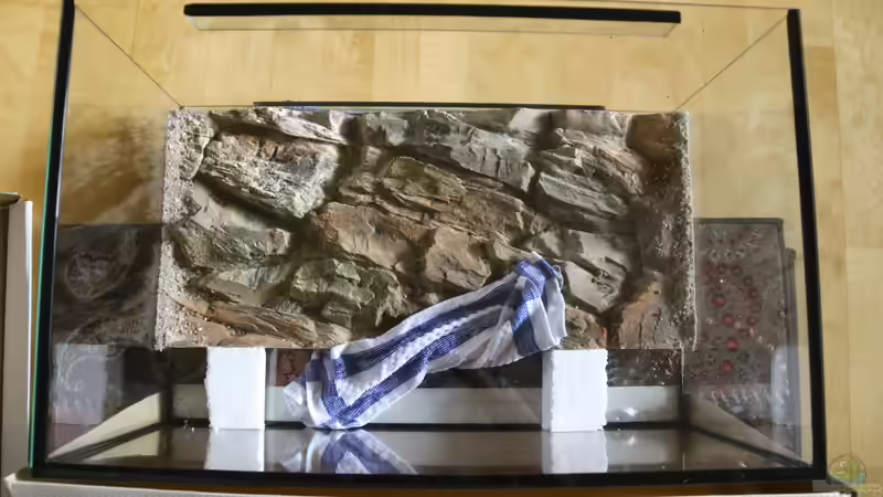 frisch eingeklebte Rückwand von Cruiser Bruno (5)