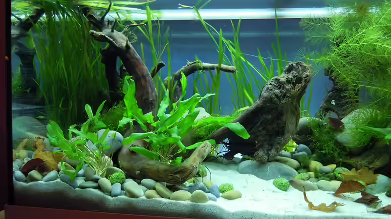 Frisch eingerichtet - 15.04.2012 von bergfrau (3)