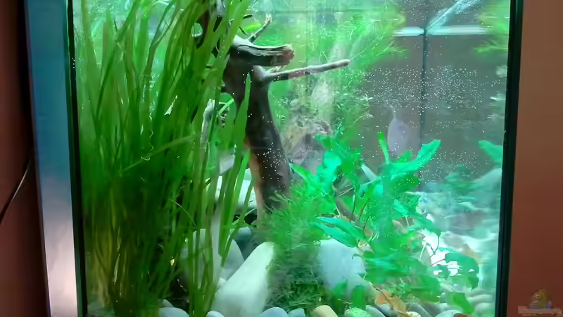 Frisch eingerichtet - 15.04.2012 von bergfrau (4)