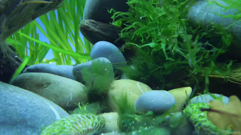 Frisch eingerichtet - 15.04.2012 von bergfrau (5)