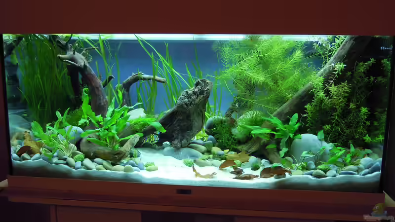 Frisch eingerichtet - 15.04.2012