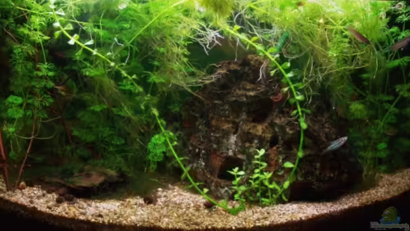 Frisch eingerichtet (05.02.08) von aetti (1)