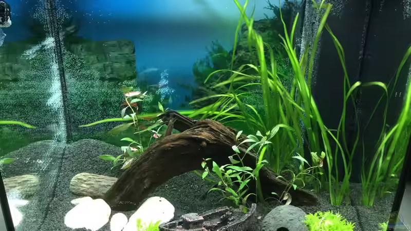 Frisch eingerichtet 1.Tag von IL (2)