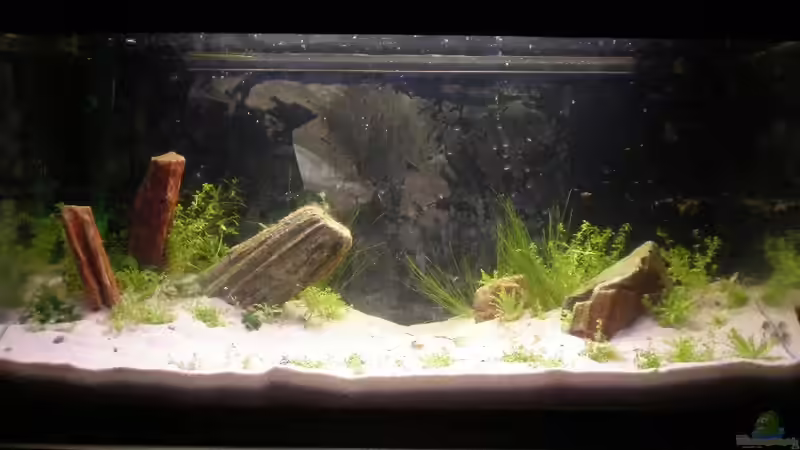 Frisch eingerichtet 4. September 2009 von hp (2)