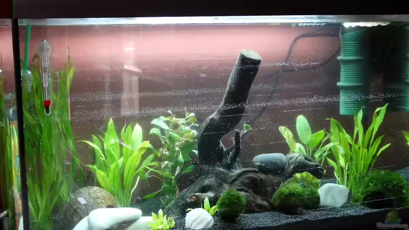 frisch eingerichtet am 18.07.2014 von Kristin89 (4)