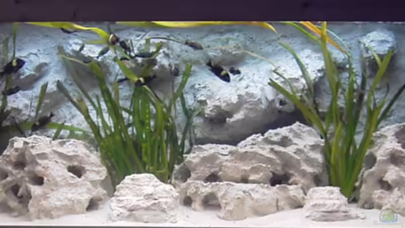 Frisch eingerichtet von Enrico Pinkert (3)