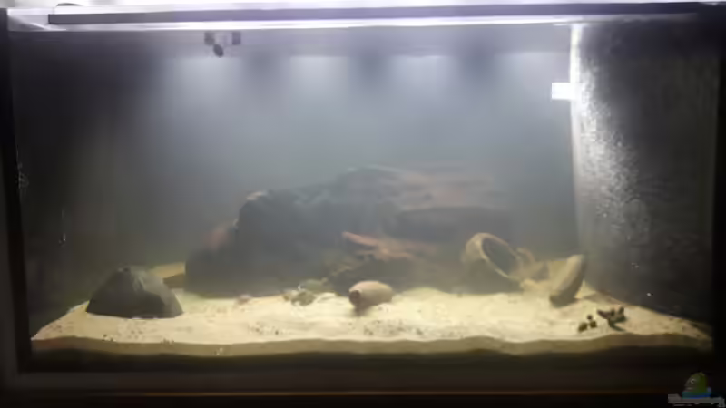 Frisch eingerichtet von Fichte (2)