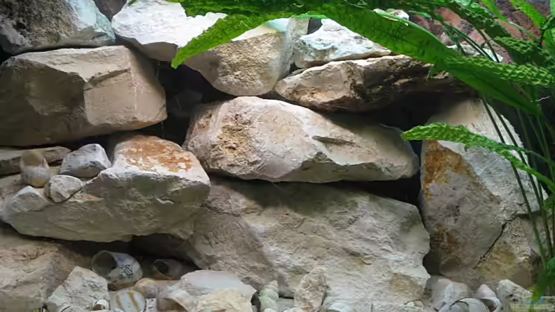 Frisch eingerichtet! von Maclya (12)