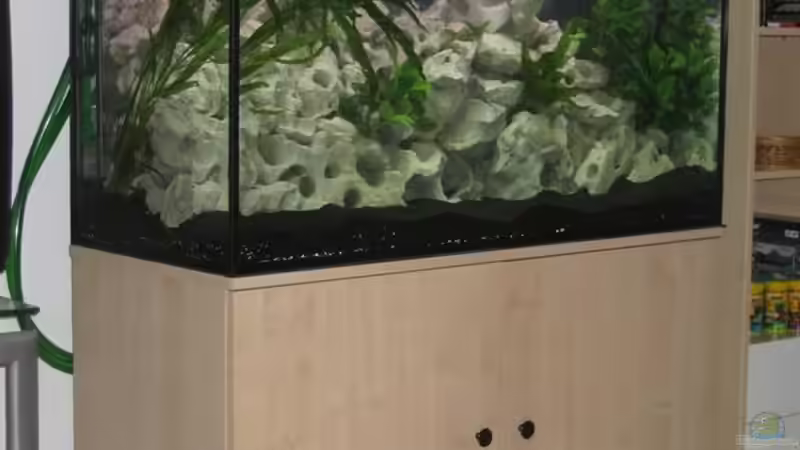 frisch eingerichtet von Qthree (2)