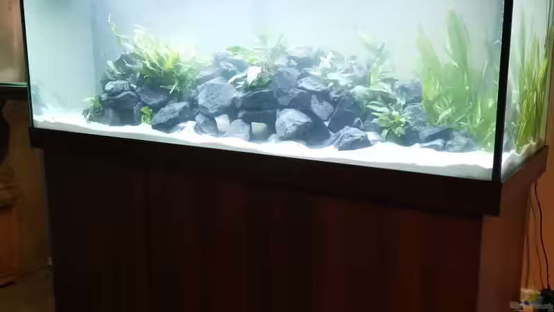 Frisch gefüllt  von Der viehfahrer (4)