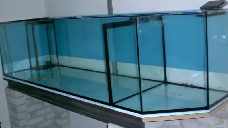 frisch geklebt, vor Ort,mit 3 Freunden, Danke :-))) von Lessi (3)