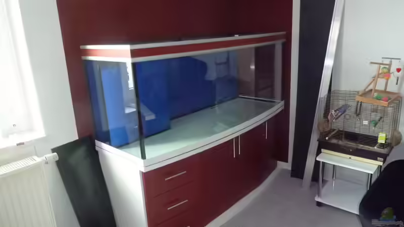 Frisch geliefert von Couro (31)