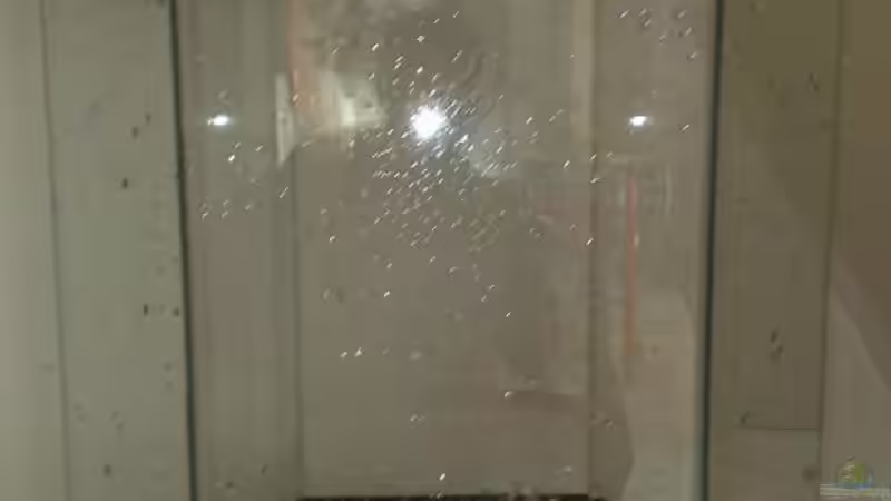 frisch geputzt und gewaschen von Chris_R. (2)