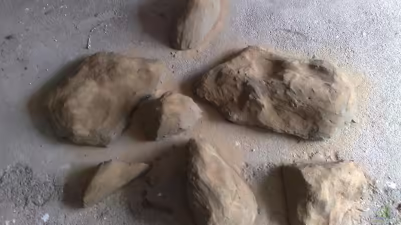 frisch gesandet von Chris_R. (14)