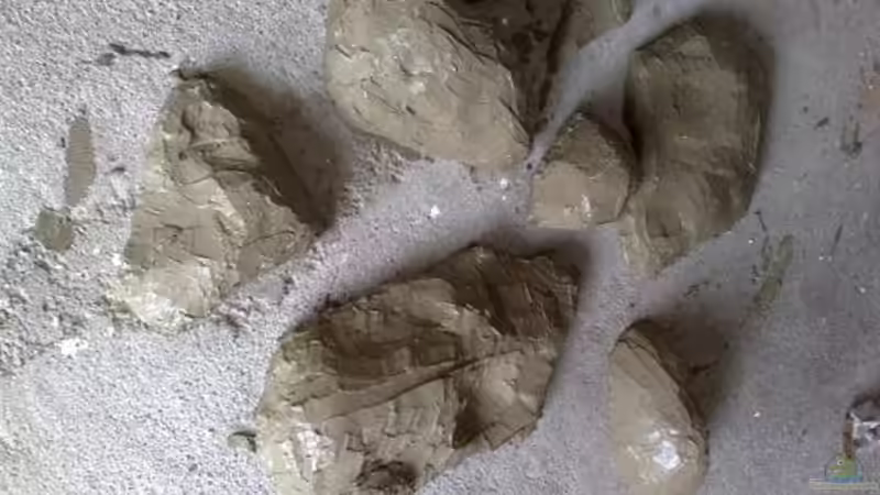 frisch gespachtelt  von Chris_R. (15)