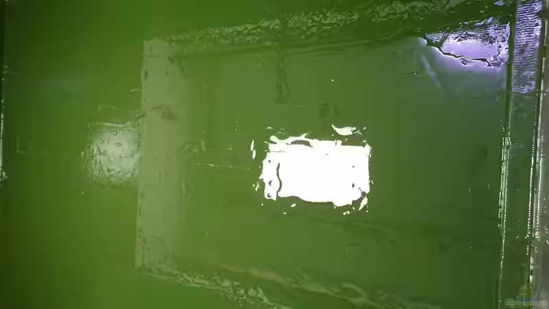 frischer Fußboden von kellerkind (30)