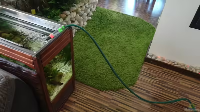 Frisches Osmose-Wasser vom Keller mit Gartenschlauch! ???? von Bermuda 3eck (38)