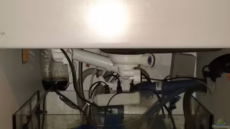 Frischwasserzulauf nur bei Abwaschtätigkeiten von Rene Zwirchmayr (30)