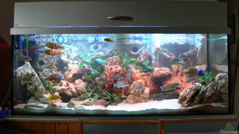 Fröhliches Wuseln..... von Christian Klar (11)