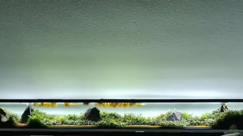 Front  von AquaTobi90 (1)