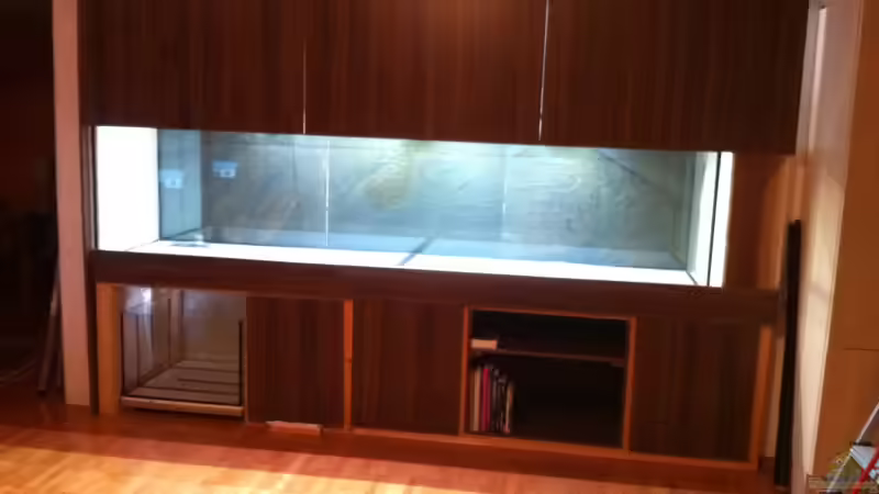 Front  von maxarl (4)