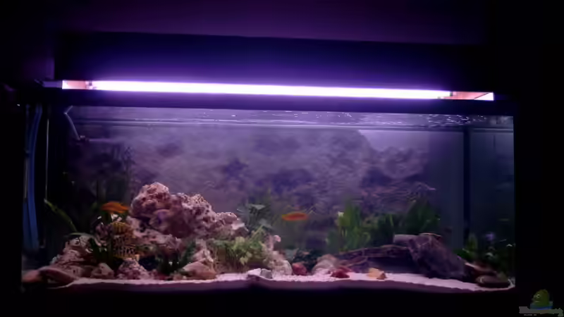 Front 1 von Christian Klar (2)