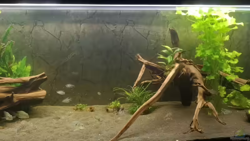 Front 1 von Stefan Heins (3)