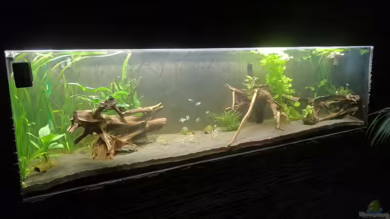 Front 2 von Stefan Heins (4)