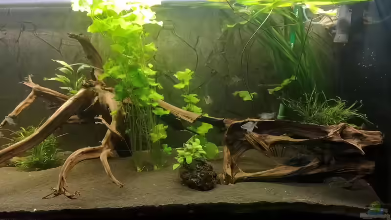 Front 3 von Stefan Heins (5)