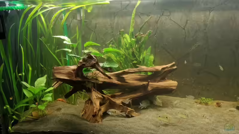 Front 4 von Stefan Heins (7)