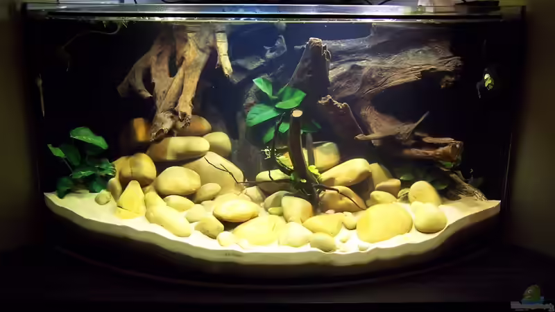 Front aktuell von duese (6)