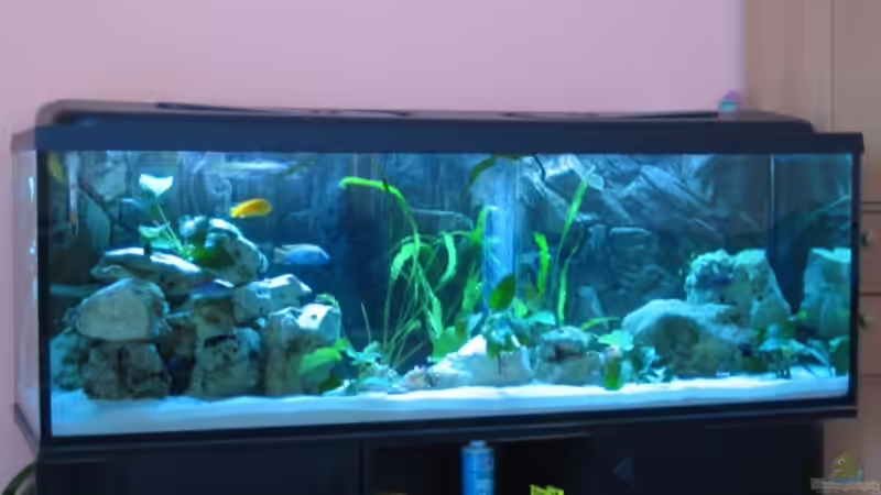 Front Ansicht - habe mal die Steinaufbauten etwas verändert von Ricardo Kisker (1)