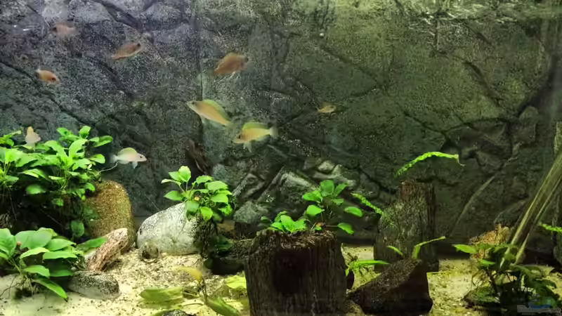 Front-Ansicht von der rechten Seite des Beckens...