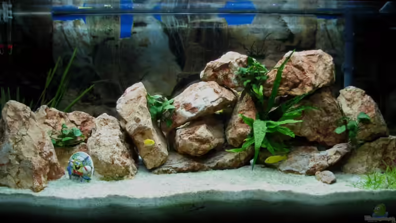 Front Ansicht von WSP (1)