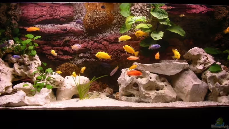 Front Gesamtansicht von magunga rock (1)