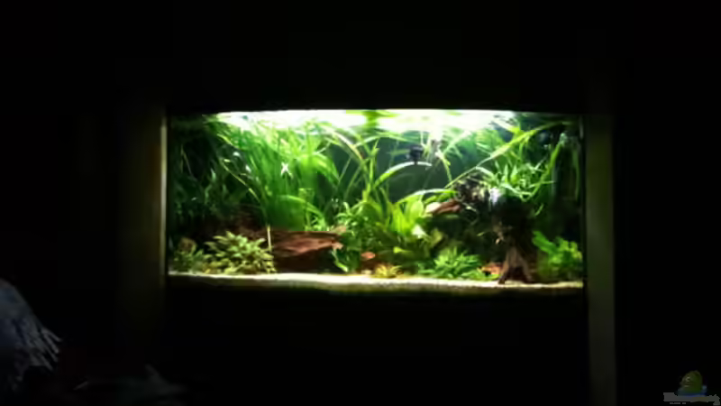 front im oktober von onil (1)