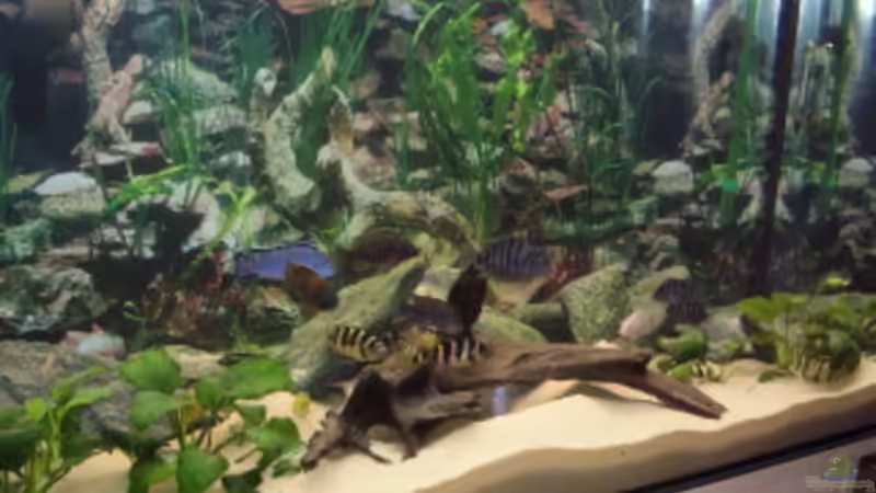 Front März08 von LaChica (3)