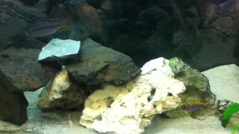 Front mittig von Höffi (3)