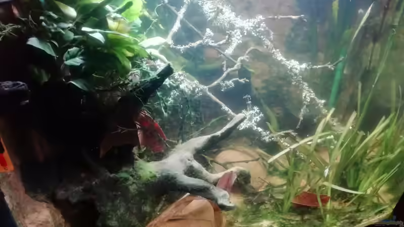 Front/Schräg 03.01.2023 von - Stephen - (11)