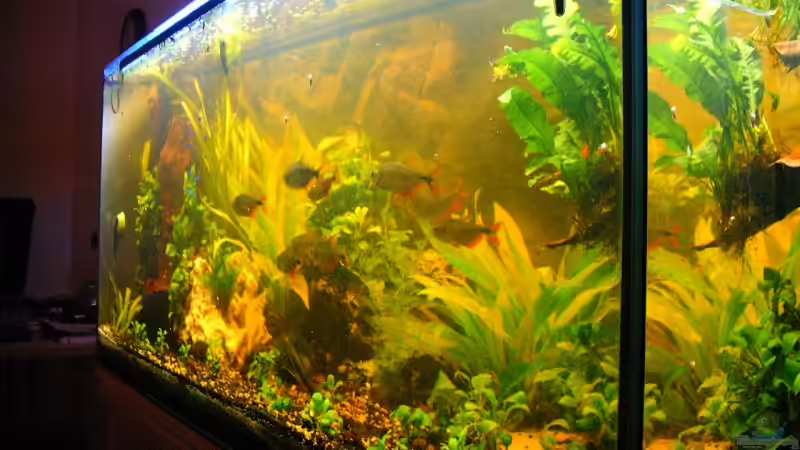 Front schräg rechts von Lee Kienle (4)