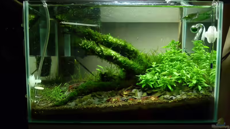 Front Standzeit 1 Jahr von Konzi (1)