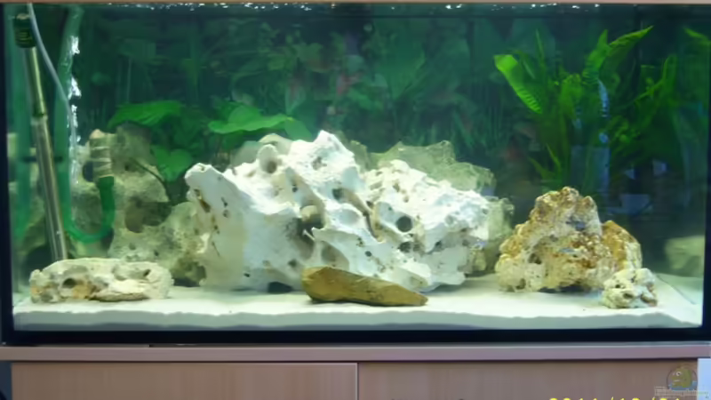 Front von 47 Malawi (4)