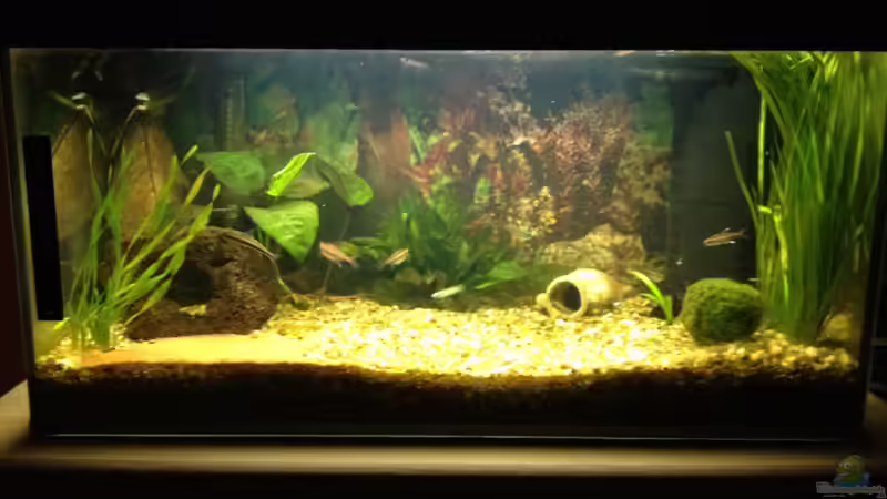 Front von alex-kolb (1)