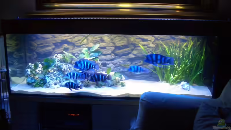 Front von Alfred Hahn (3)