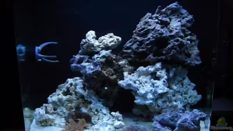 Front von All in one (1)