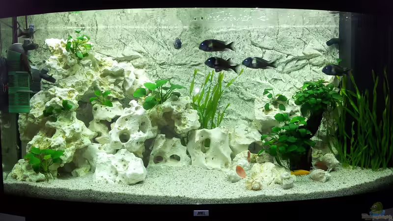 Front von AndreLeipzig (1)